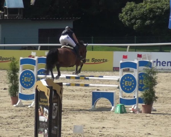 Reitturnier Hachenburg 2018