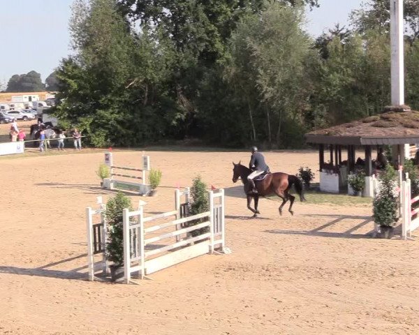 Reitturnier Datteln 2018