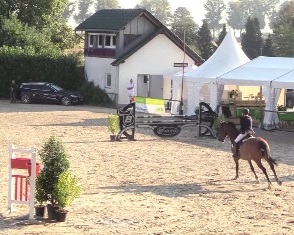 Reitturnier Datteln 2018
