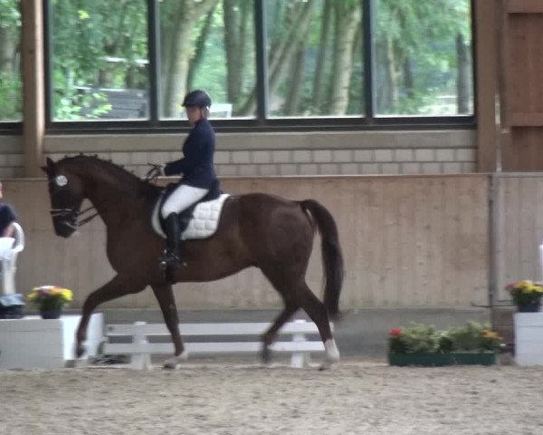 Bergisch Classics - Hebborner Hof 2018