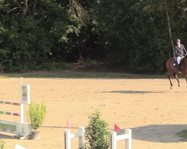 Reitturnier Datteln 2018