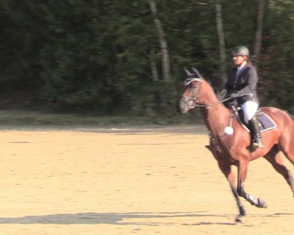 Reitturnier Datteln 2018