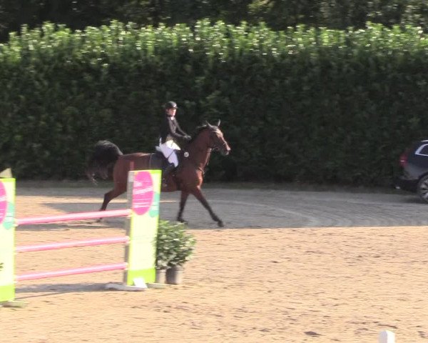 Reitturnier Datteln 2018