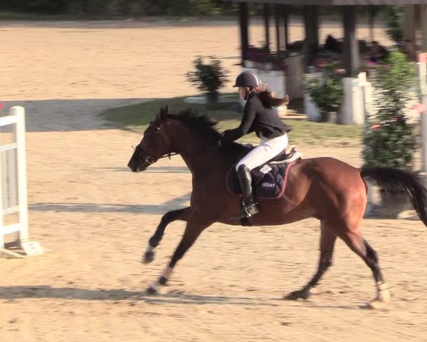 Reitturnier Datteln 2018
