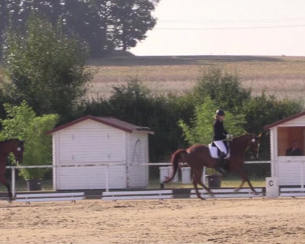 Reitturnier Menden 2018