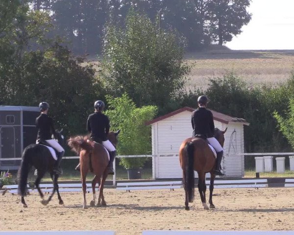 Reitturnier Menden 2018