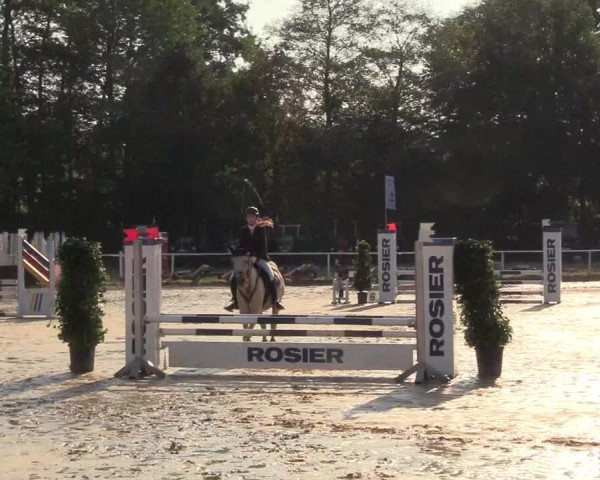 Reitturnier Menden 2018