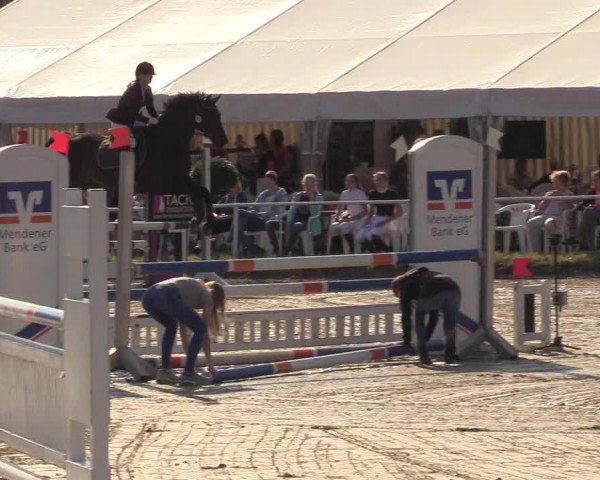Reitturnier Menden 2018