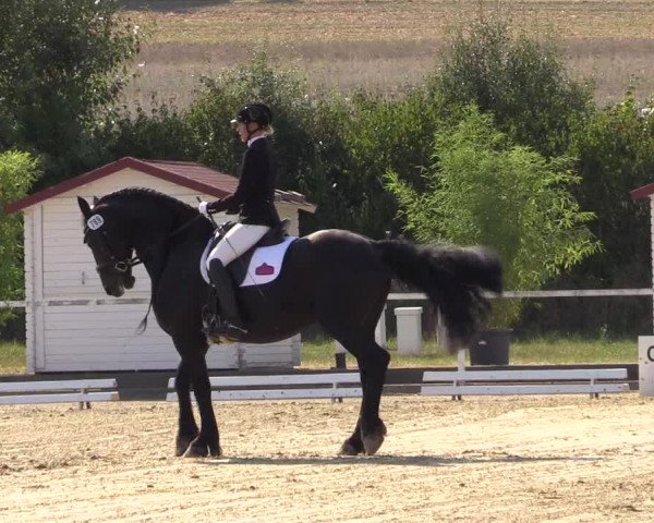 Reitturnier Menden 2018