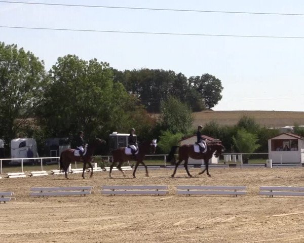 Reitturnier Menden 2018