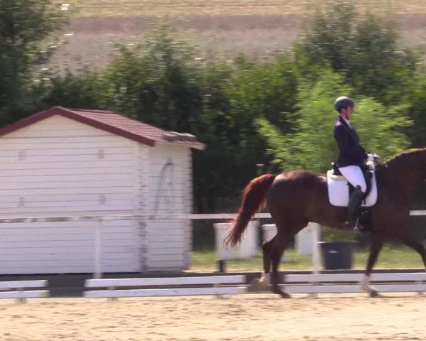 Reitturnier Menden 2018