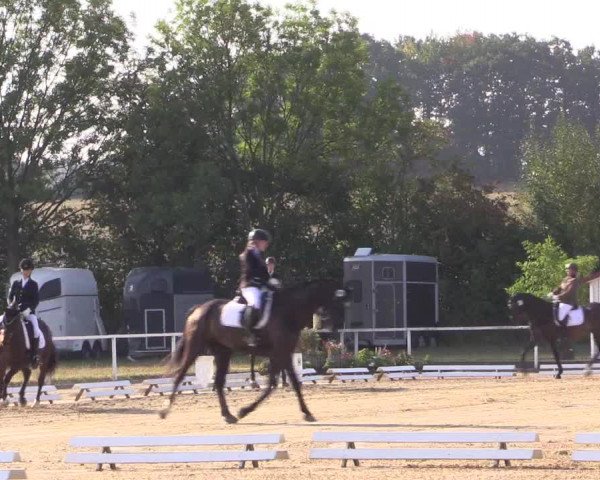 Reitturnier Menden 2018