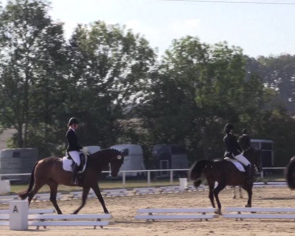 Reitturnier Menden 2018