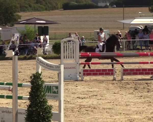 Reitturnier Menden 2018