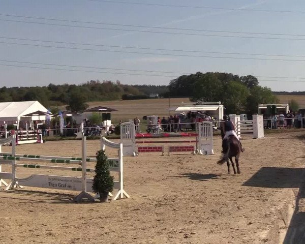 Reitturnier Menden 2018