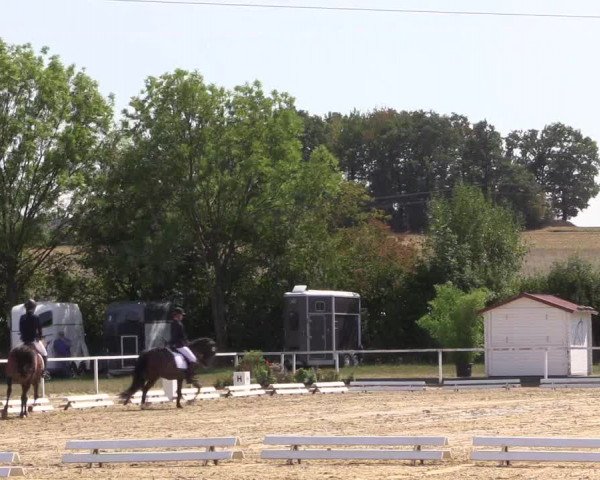 Reitturnier Menden 2018