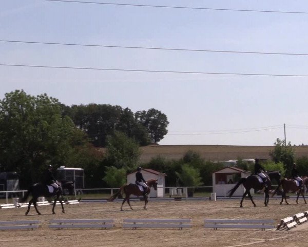 Reitturnier Menden 2018