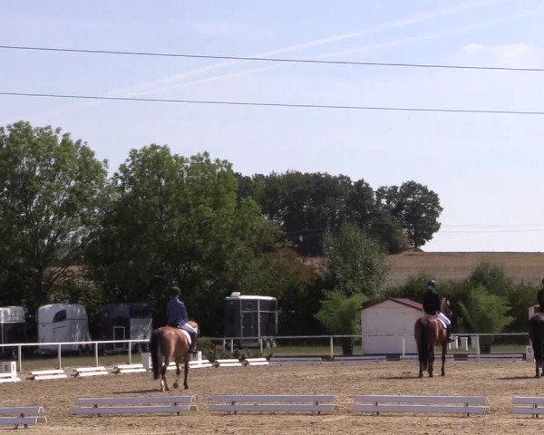 Reitturnier Menden 2018