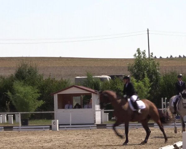 Reitturnier Menden 2018
