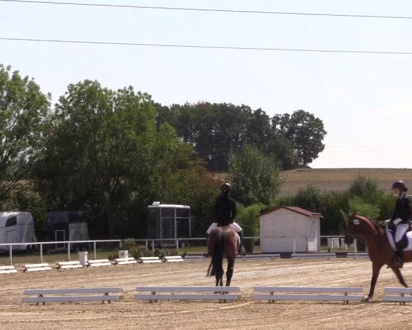 Reitturnier Menden 2018