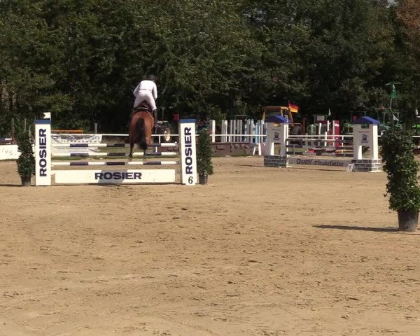 Reitturnier Menden 2018