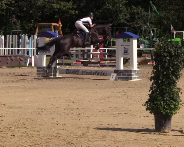 Reitturnier Menden 2018