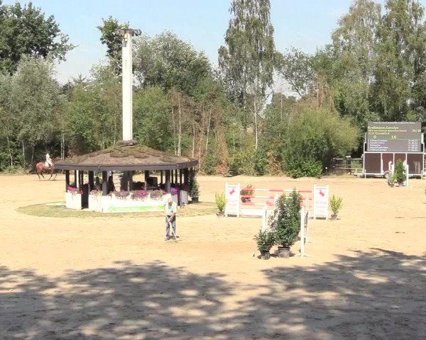 Reitturnier Datteln 2018