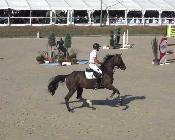 Bergisch Classics - Hebborner Hof 2018