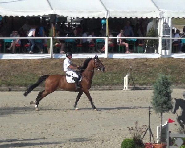 Bergisch Classics - Hebborner Hof 2018