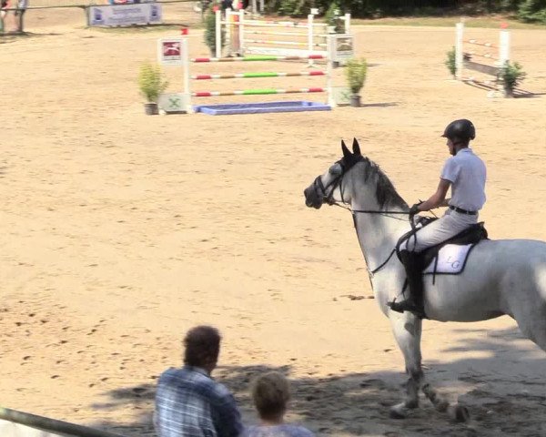 Reitturnier Datteln 2018