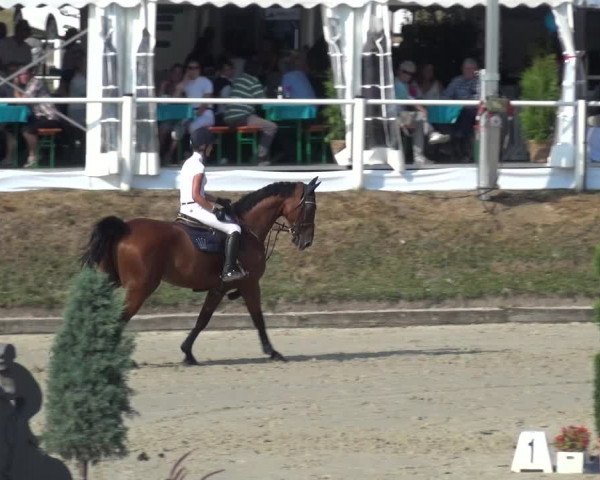 Bergisch Classics - Hebborner Hof 2018