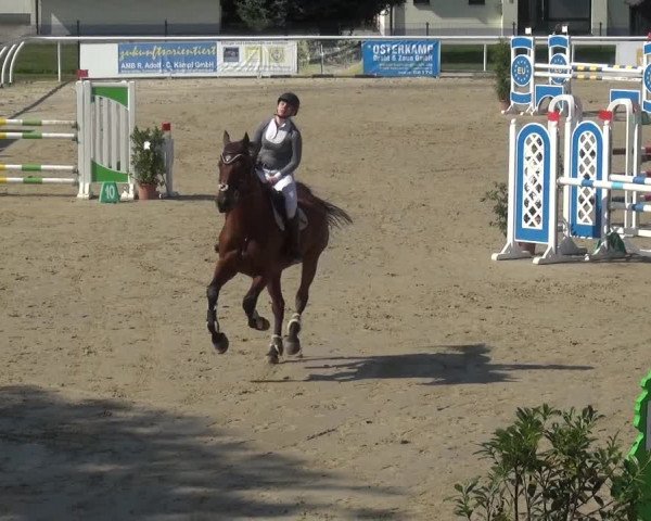 Reitturnier Hachenburg 2018