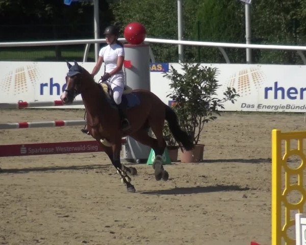 Reitturnier Hachenburg 2018