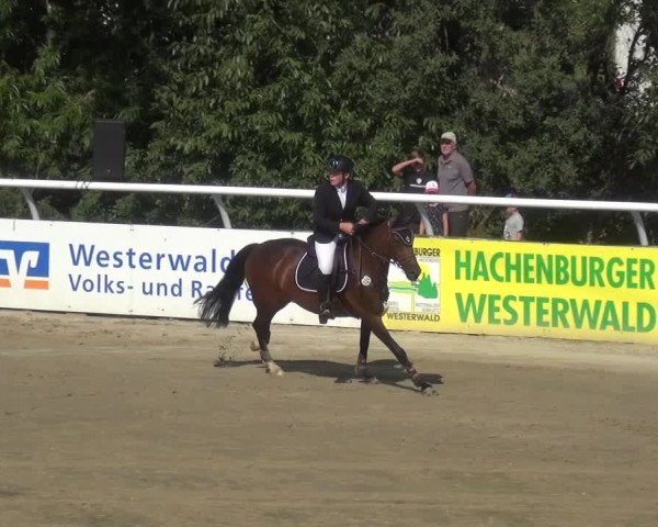 Reitturnier Hachenburg 2018