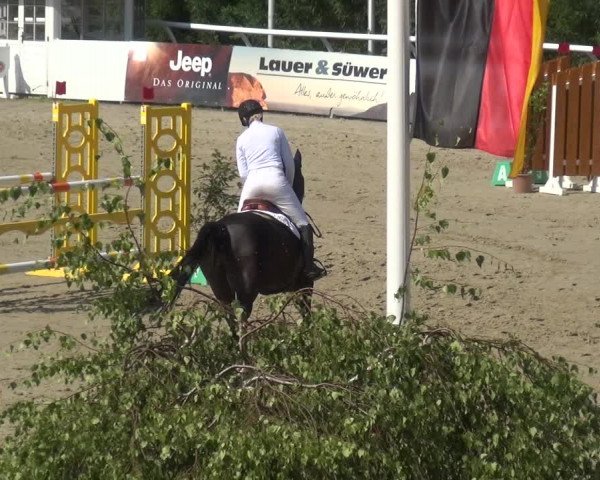 Reitturnier Hachenburg 2018