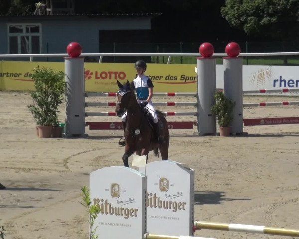 Reitturnier Hachenburg 2018