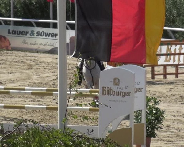 Reitturnier Hachenburg 2018