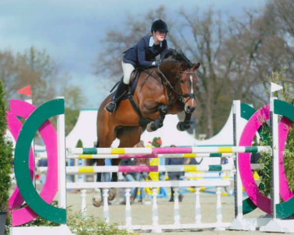 jumper Freina Baita (KWPN (Royal Dutch Sporthorse), 2010, from Carthino Z)