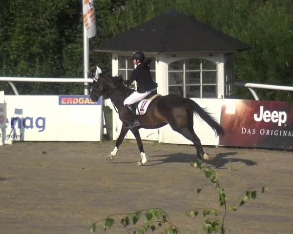 Reitturnier Hachenburg 2018