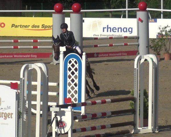 Reitturnier Hachenburg 2018