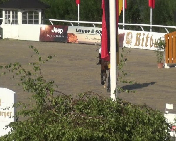 Reitturnier Hachenburg 2018