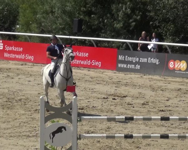 Reitturnier Hachenburg 2018