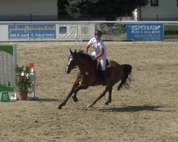 Reitturnier Hachenburg 2018