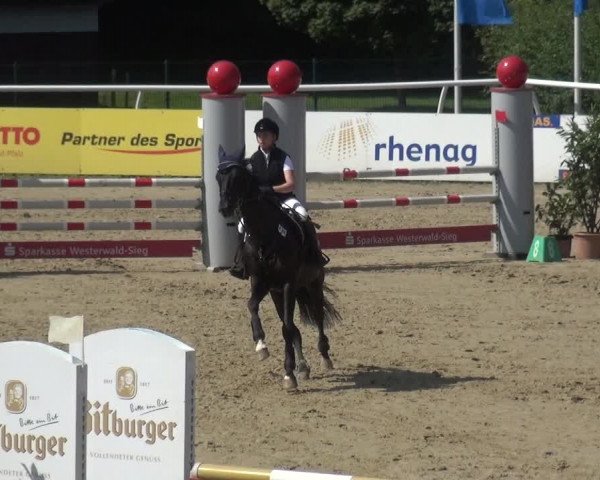 Reitturnier Hachenburg 2018