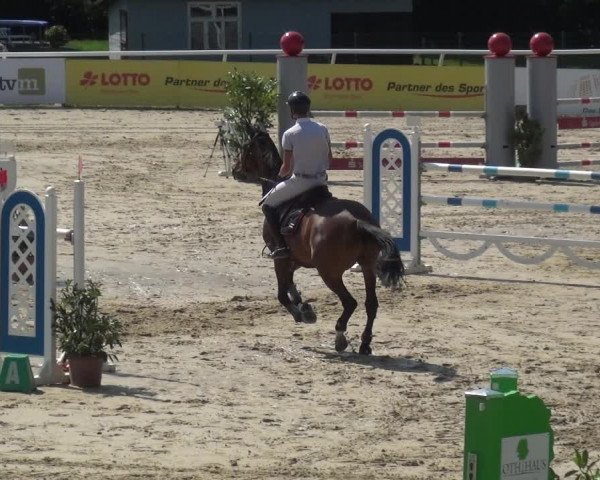 Reitturnier Hachenburg 2018