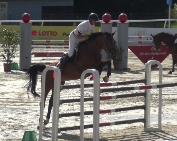Reitturnier Hachenburg 2018