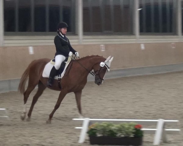 Bergisch Classics - Hebborner Hof 2018