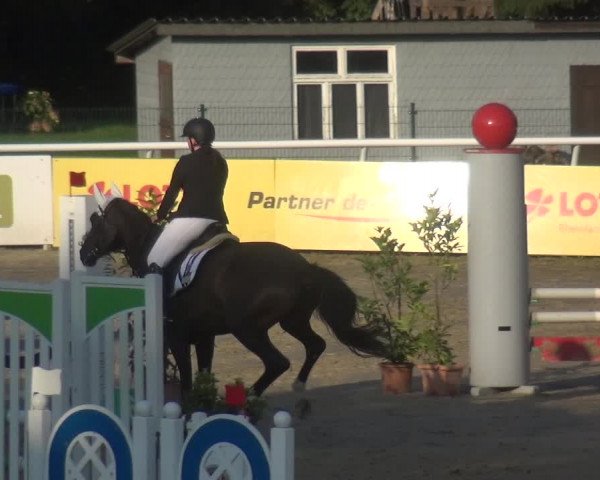 Reitturnier Hachenburg 2018