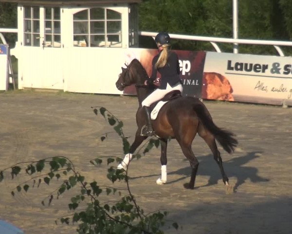 Reitturnier Hachenburg 2018