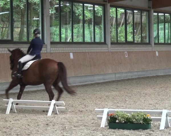 Bergisch Classics - Hebborner Hof 2018